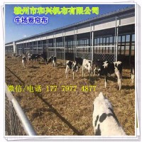 赣州大型猪场卷帘 白色透光鸡场 牛场羊场卷帘篷布防水防晒PVC加厚涂塑布