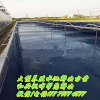 和兴帆布有限公司 供应养殖帆布水池 养殖帆布鱼池 室内户外养殖水池鱼池