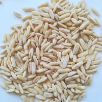 燕麦胚芽米