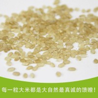 有机糙米2017新米全胚芽糙米2.5kg现磨糙米