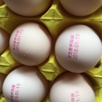江西特产20枚包装灵芝鸡蛋 早餐营养土鸡蛋