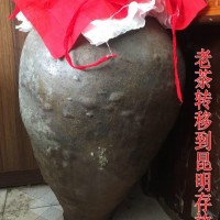 彝山香家藏老树普洱茶（100克）