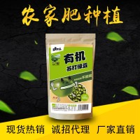 厂家直销东北特产杂粮有机绿豆500g一件代发