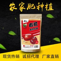 东北厂家直销特产杂粮有机红豆500g批发杂粮