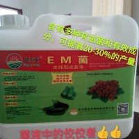 EM菌液