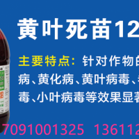 哈漫迪黄叶死苗120专治黄叶黄化病