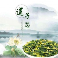 莲子提取物 莲芯莲子芯茶 莲子心莲心茶