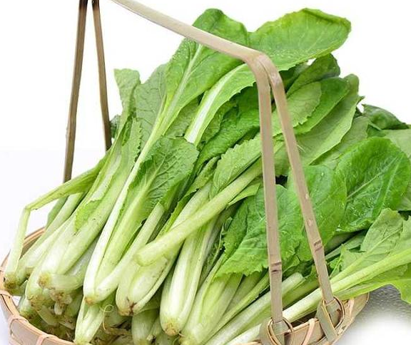 给小白菜施肥时需要注意什么?