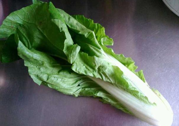 给小白菜施肥时需要注意什么?