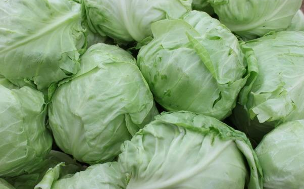 秋白菜包心期浇水需要注意什么?