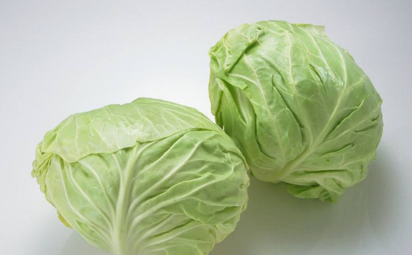 秋白菜包心期浇水需要注意什么?