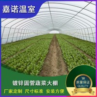 蔬菜温室大棚建设