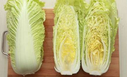 白菜种植田间如何防治杂草