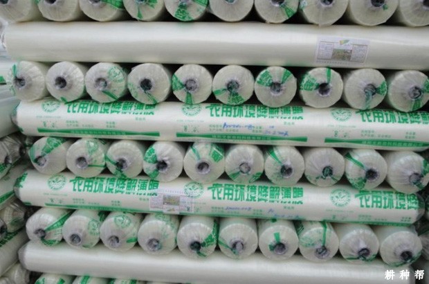 种植棉花可以用哪种地膜? 种植棉花可以用哪种地膜?