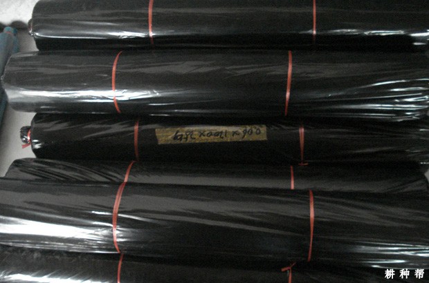 种植棉花可以用哪种地膜? 种植棉花可以用哪种地膜?