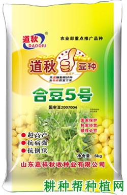 合豆5号大豆品种好不好？
