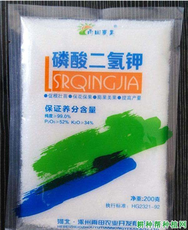 种植芝麻如何提高产量? 种植芝麻如何提高产量?