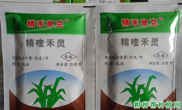 芝麻苗后可以用什么除草剂? 芝麻苗后可以用什么除草剂?