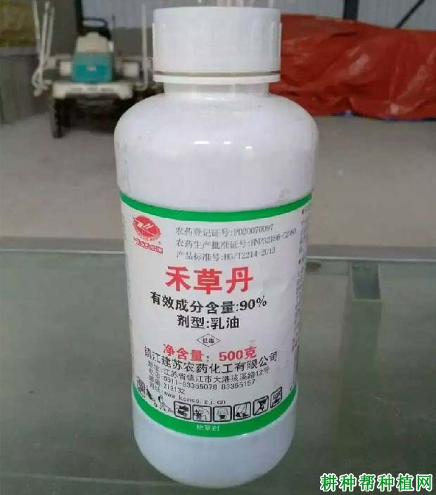 芝麻苗前可以用什么除草剂? 芝麻苗前可以用什么除草剂?