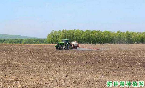 种植芝麻用什么土壤除草剂？