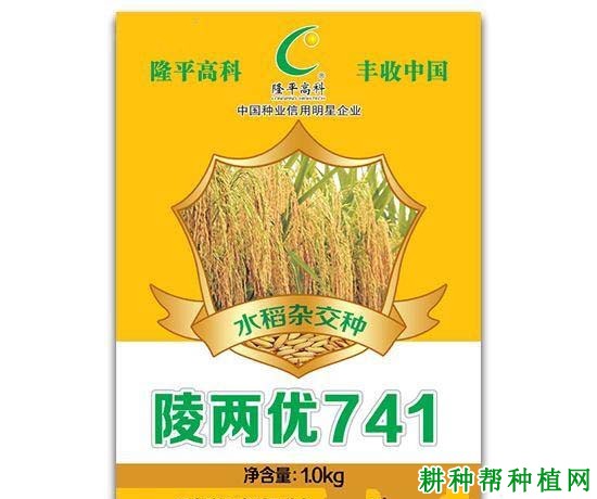 陵两优741水稻品种好不好？
