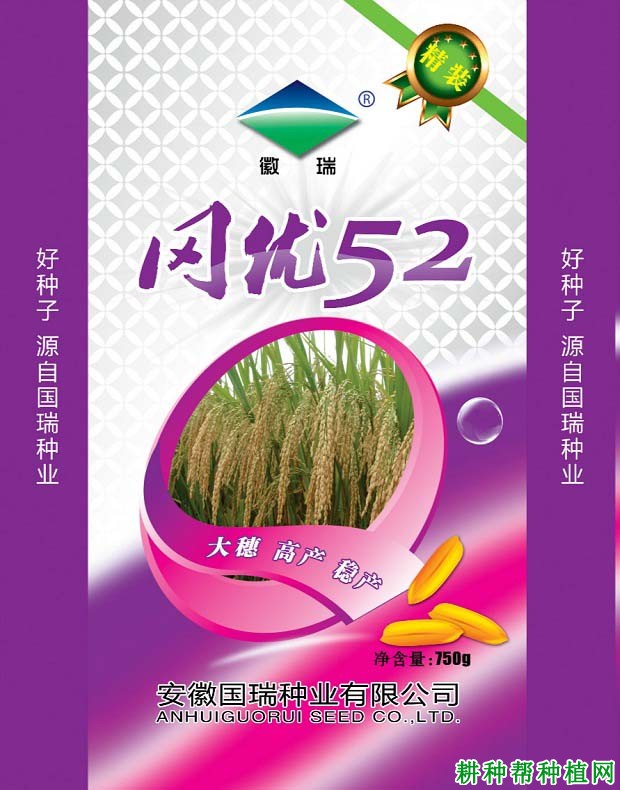 冈优52水稻品种好不好？