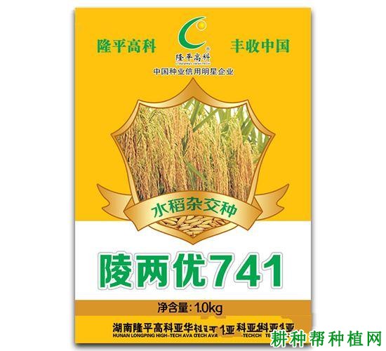 陵两优741水稻品种好不好？