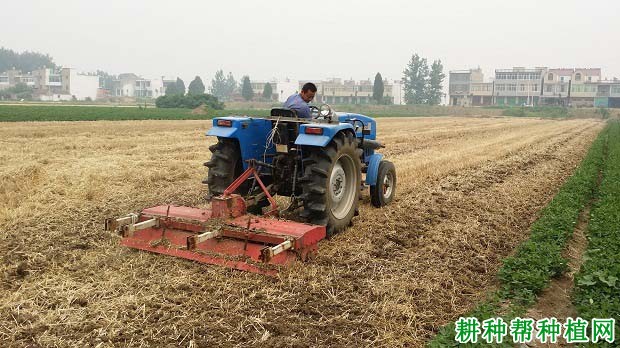 种植小麦如何整地？