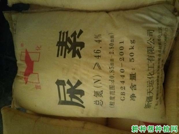 小麦用什么底肥好？