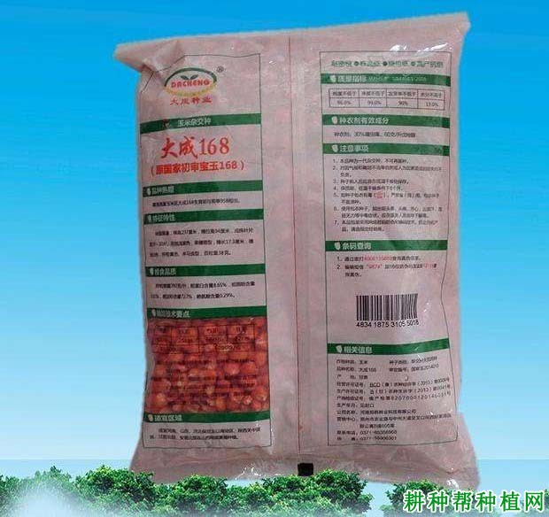 大成168玉米品种好不好？
