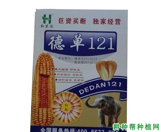 德单121玉米品种好不好? 德单121玉米品种好不好?