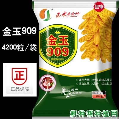 金玉506玉米品种好不好? 金玉506玉米品种好不好?