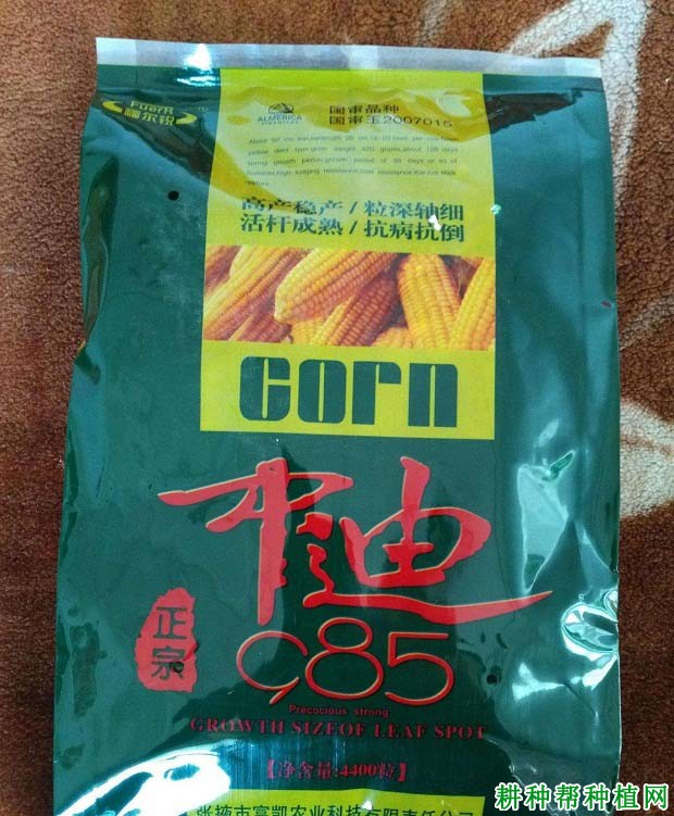 中迪985玉米品种好不好? 中迪985玉米品种好不好?