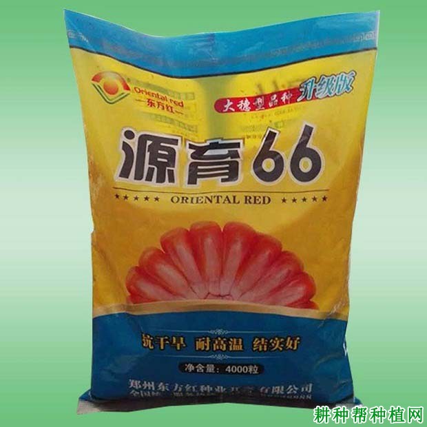 源育66玉米品种好不好? 源育66玉米品种好不好?