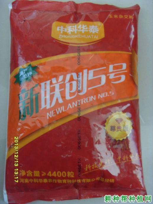 联创5号玉米品种好不好? 联创5号玉米品种好不好?