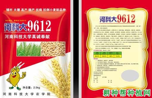 河科大9612小麦品种好不好? 河科大9612小麦品种好不好?