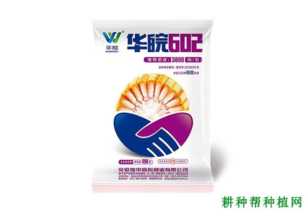 华皖602玉米品种好不好? 华皖602玉米品种好不好?