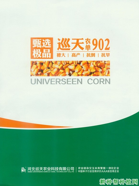 农单902玉米品种好不好? 农单902玉米品种好不好?