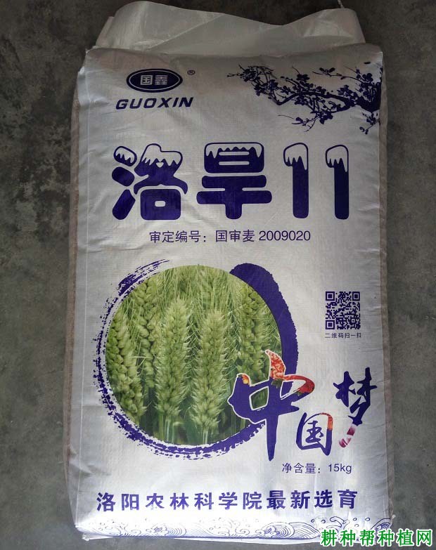 洛旱11小麦品种好不好? 洛旱11小麦品种好不好?