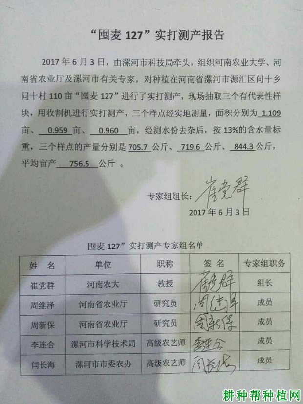 囤麦127小麦品种好不好? 囤麦127小麦品种好不好?