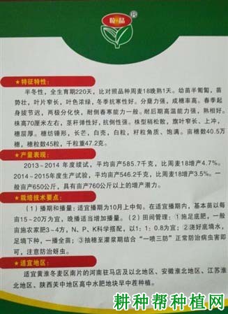 洛旱12小麦品种好不好? 洛旱12小麦品种好不好?