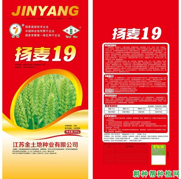 扬麦19小麦品种好不好? 扬麦19小麦品种好不好?