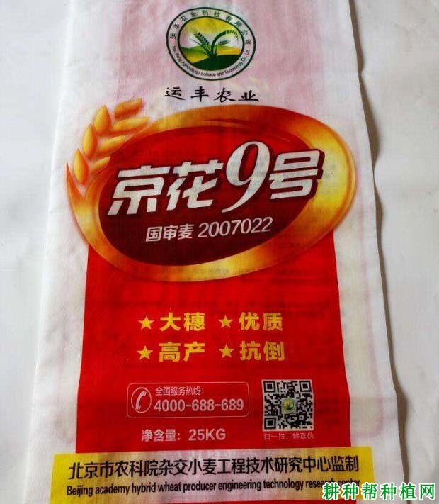 京花9号小麦品种好不好? 京花9号小麦品种好不好?