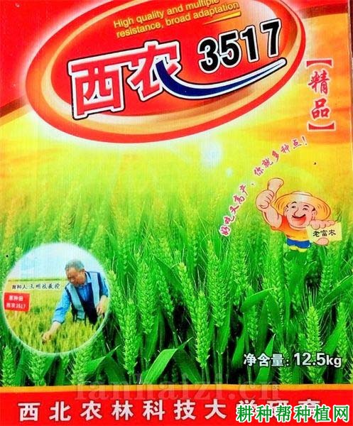 西农3517小麦品种好不好? 西农3517小麦品种好不好?