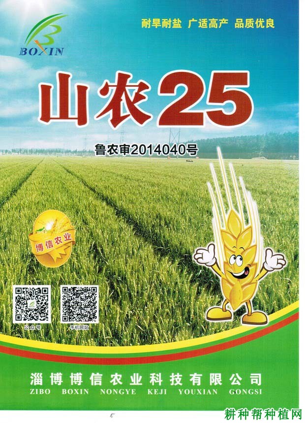 山农25小麦品种好不好? 山农25小麦品种好不好?