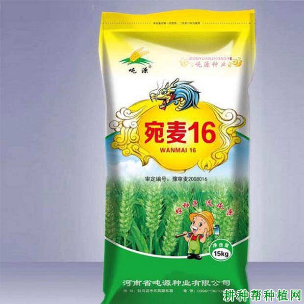 宛麦16小麦品种好不好? 宛麦16小麦品种好不好?
