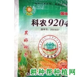 科农9204小麦品种好不好? 科农9204小麦品种好不好?