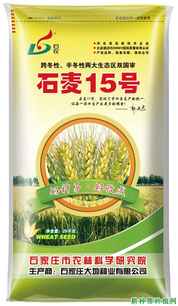 石麦15号小麦品种好不好? 石麦15号小麦品种好不好?