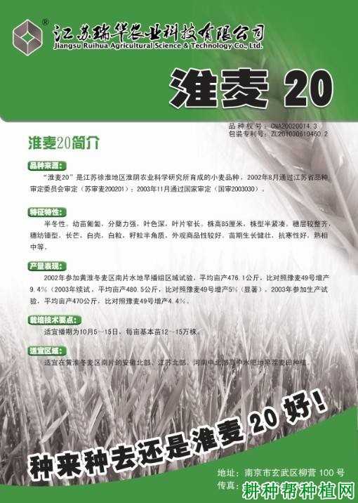淮麦20小麦品种好不好? 淮麦20小麦品种好不好?