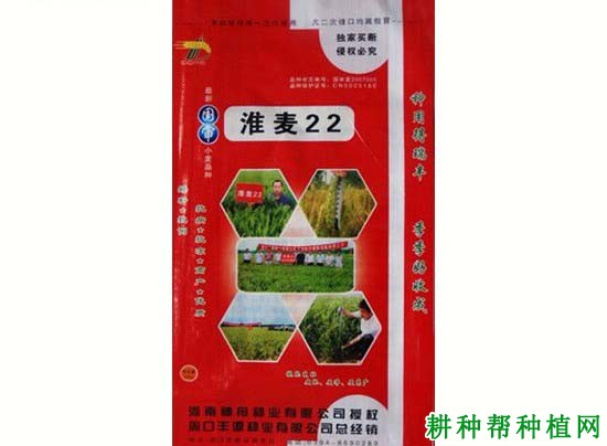 淮麦22小麦品种好不好? 淮麦22小麦品种好不好?